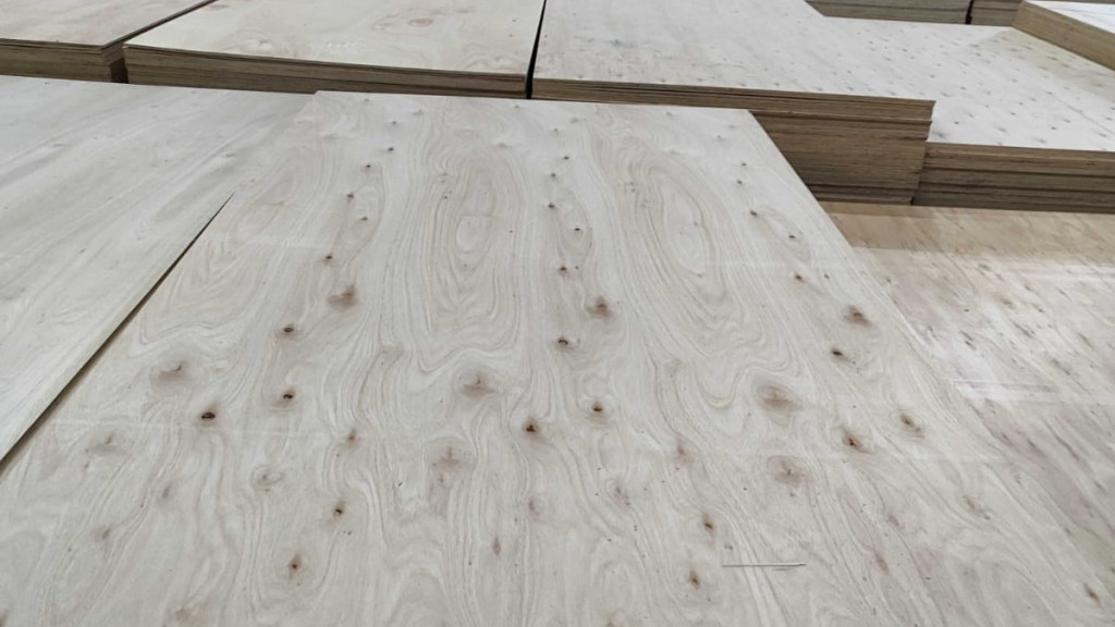 Compensado-de-Eucalipto